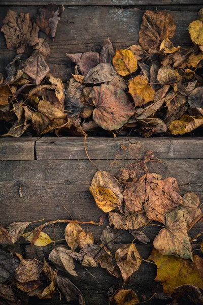 长满枯萎落叶的木制复古阶梯 — 图库照片