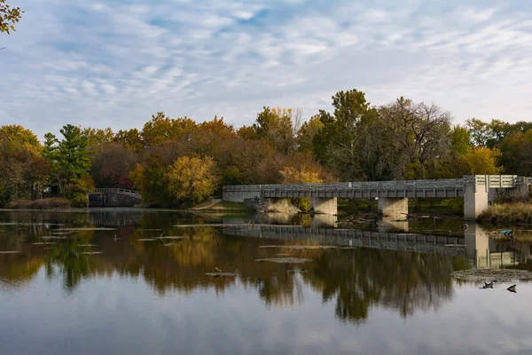 Autumn Colored Trees Dupage River Channahon Illinois Usa — Stock Photo, Image