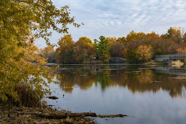 Autumn Colored Trees Dupage River Channahon Illinois Usa — Stock Photo, Image