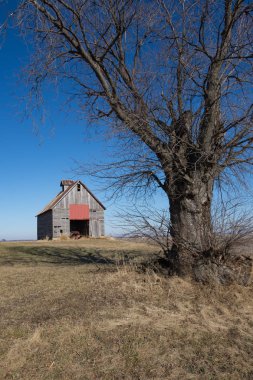 Eski ahşap ahır ve ölü ağaç kırsal alanda tarım arazileri açın. Illinois, ABD
