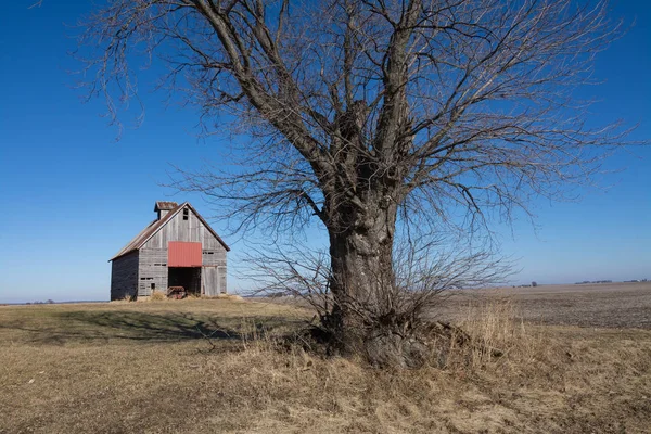 Staré Dřevěné Stodoly Mrtvý Strom Venkovských Otevřené Zemědělské Půdy Illinois — Stock fotografie