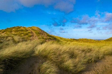 Yollar aracılığıyla kumulları Formby Beach, İngiltere.