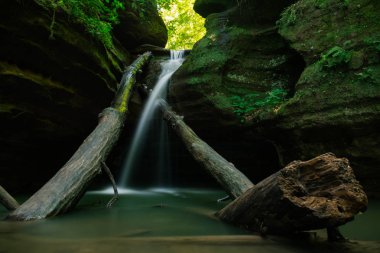 Yaz aylarında Kaskaskia Kanyon düşmüş günlükleri üzerinden akan çağlayan. Aç Rock State Park, Illinois, ABD.