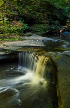 Giants küvete basamaklı su. Matthiessen State Park, Illinois, ABD.