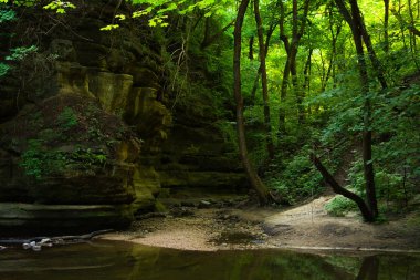 Ağaç gölgelik altında Dells yaz sabah. Matthiessen State Park, Illinois, ABD.