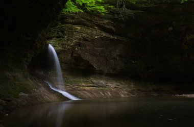 Art arda sıralı düştü bir bahar sabahı parlayan güneş ışığı. Matthiessen State Park, Illinois, ABD