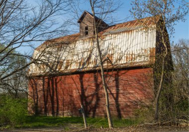 Illinois ormanda eski rustik kırmızı ahır.