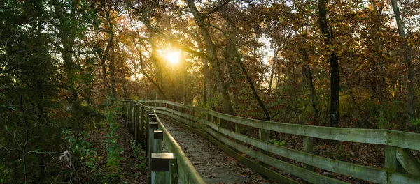 Dřevěná Cesta Lesem Podzimní Slunce Vyhladovělé Rock Stát Park Illinois — Stock fotografie