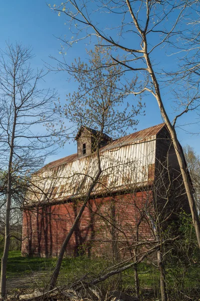 Gamla Rustika Röd Lada Illinois Skogen — Stockfoto