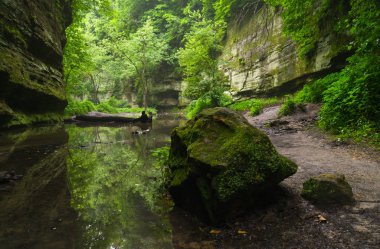 The Lower Dells in Matthiessen State Park on a summers morning. clipart