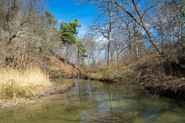 Aç Rock, Illinois erken bir bahar öğleden sonra creek küçük.