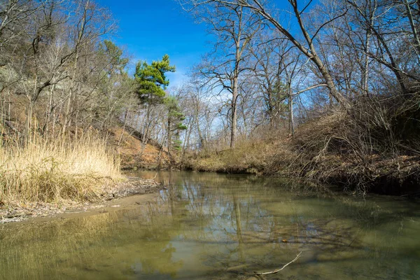 Por Pequeño Arroyo Starved Rock Illinois Una Tarde Primavera —  Fotos de Stock