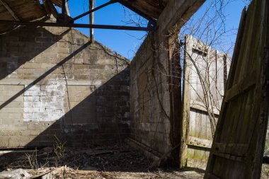 Terkedilmiş fabrikada yapısı kırık.