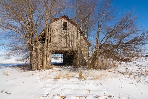 雪の中の古い納屋風化カバー フィールド イリノイ州の田舎 — ストック写真
