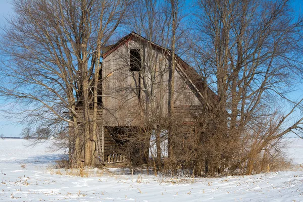 Staré Omšelé Stodoly Sněhu Které Pole Illinoiském Venkově — Stock fotografie