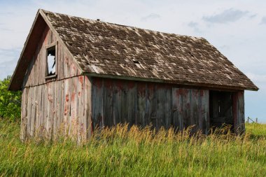 Küçük yıpranmış ahşap ahır yağmur olarak geçer ve güneş ışığı buraya gelemez. Büro County, Illinois, ABD