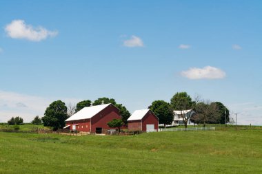 Ahır ve çiftlik çim üzerinde hillside kaplı. Ogle County, Illinois, ABD