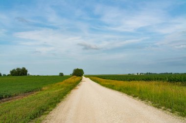 Kırsal toprak yol merkezi Illinois kırsal kesimde.