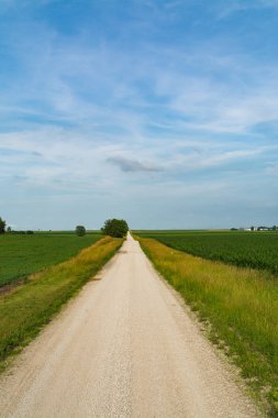 Kırsal toprak yol merkezi Illinois kırsal kesimde.