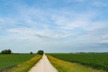 Kırsal toprak yol merkezi Illinois kırsal kesimde.
