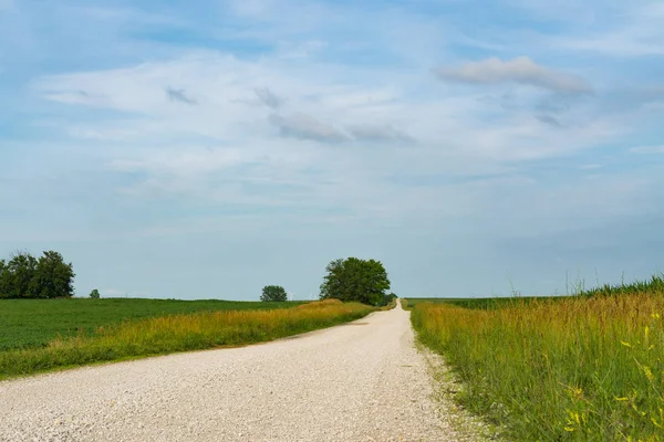 Kırsal toprak yol merkezi Illinois kırsal kesimde.