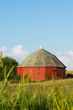Bir yaz öğleden sonra uzun boylu çimlere aracılığıyla kırmızı yuvarlak ahır. LaSalle County, Illinois, ABD