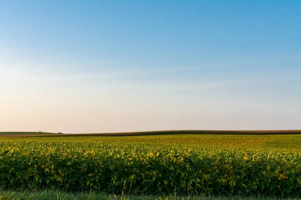 Öğleden sonra ışık Illinois kırsal üzerinde parlayan.
