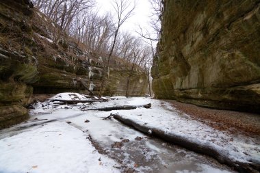 Kar yerde de kapalı. Aç Rock devlet Par, Illinois, ABD