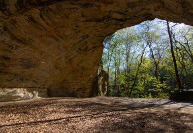 Konsey Çıkıntısı