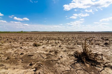 açık tarım arazisi