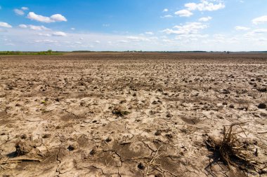 açık tarım arazisi