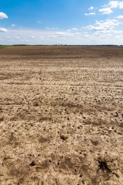 açık tarım arazisi