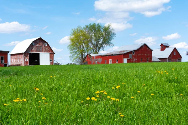 Farm in open grass field — Stock Photo, Image