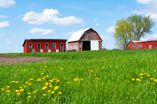 Ферма в открытом травяном поле
