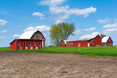 Açık alanda çiftlik