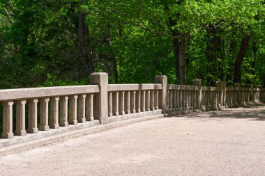 güneşli günde köprü