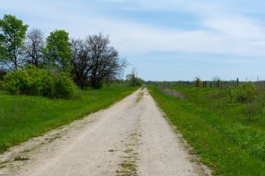 Çayır boyunca toprak yol