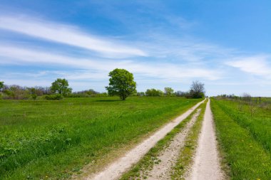 Çayır boyunca toprak yol