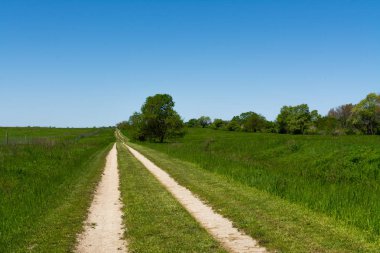Tallgrass çayıryolu