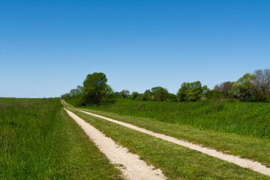 Tallgrass çayıryolu