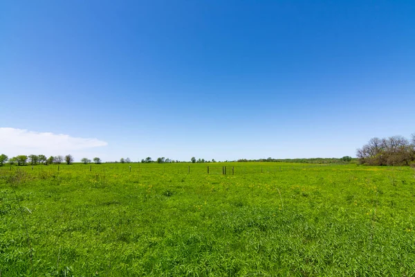 Campo de césped abierto — Foto de Stock