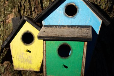 Renkli ahşap kuş evi