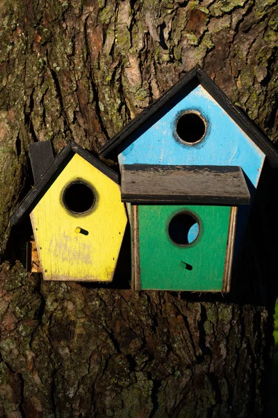 Barevný dřevěný ptačí dům — Stock fotografie