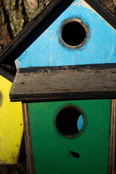 Colorata casetta per uccelli in legno — Foto Stock