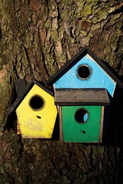 Kolorowy drewniany domek dla ptaków — Zdjęcie stockowe