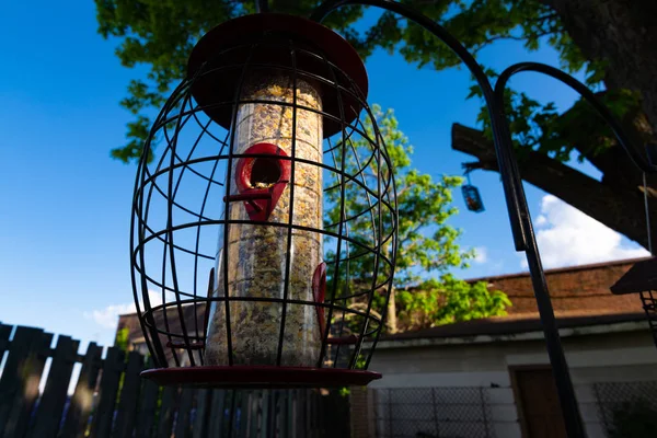 Ev bahçesinde kuş besleyiciler — Stok fotoğraf