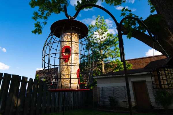 Vogelvoeders in huis Tuin — Stockfoto