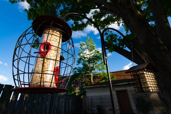 Alimentatori di uccelli nel giardino di casa — Foto Stock