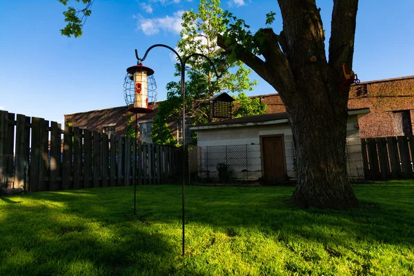 Ptačí podavače v domácí zahradě — Stock fotografie