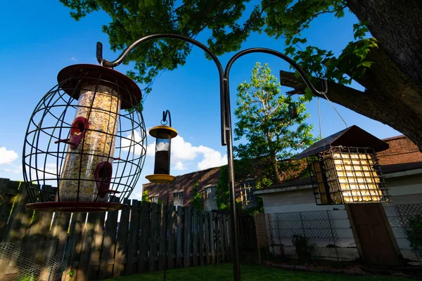 Vogelvoeders in huis Tuin — Stockfoto